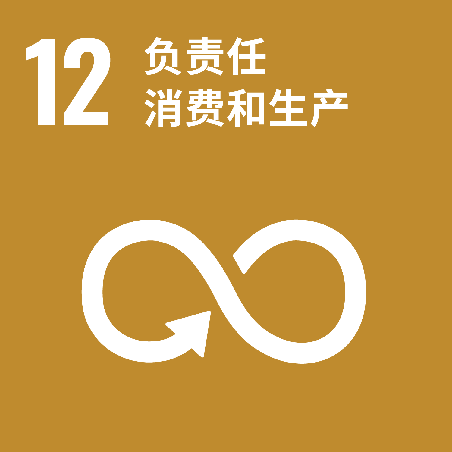 sdgs goal 12