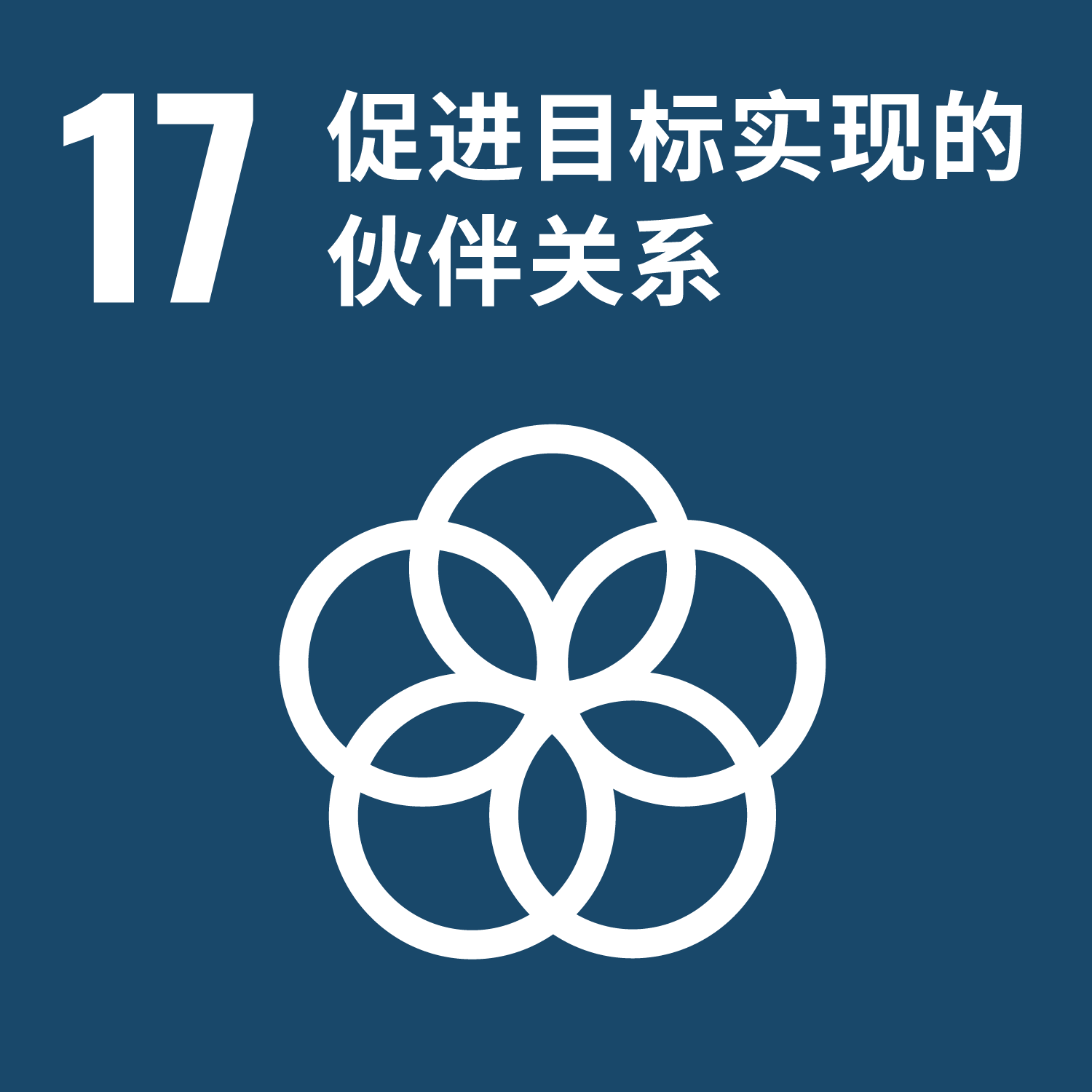 sdgs goal 17