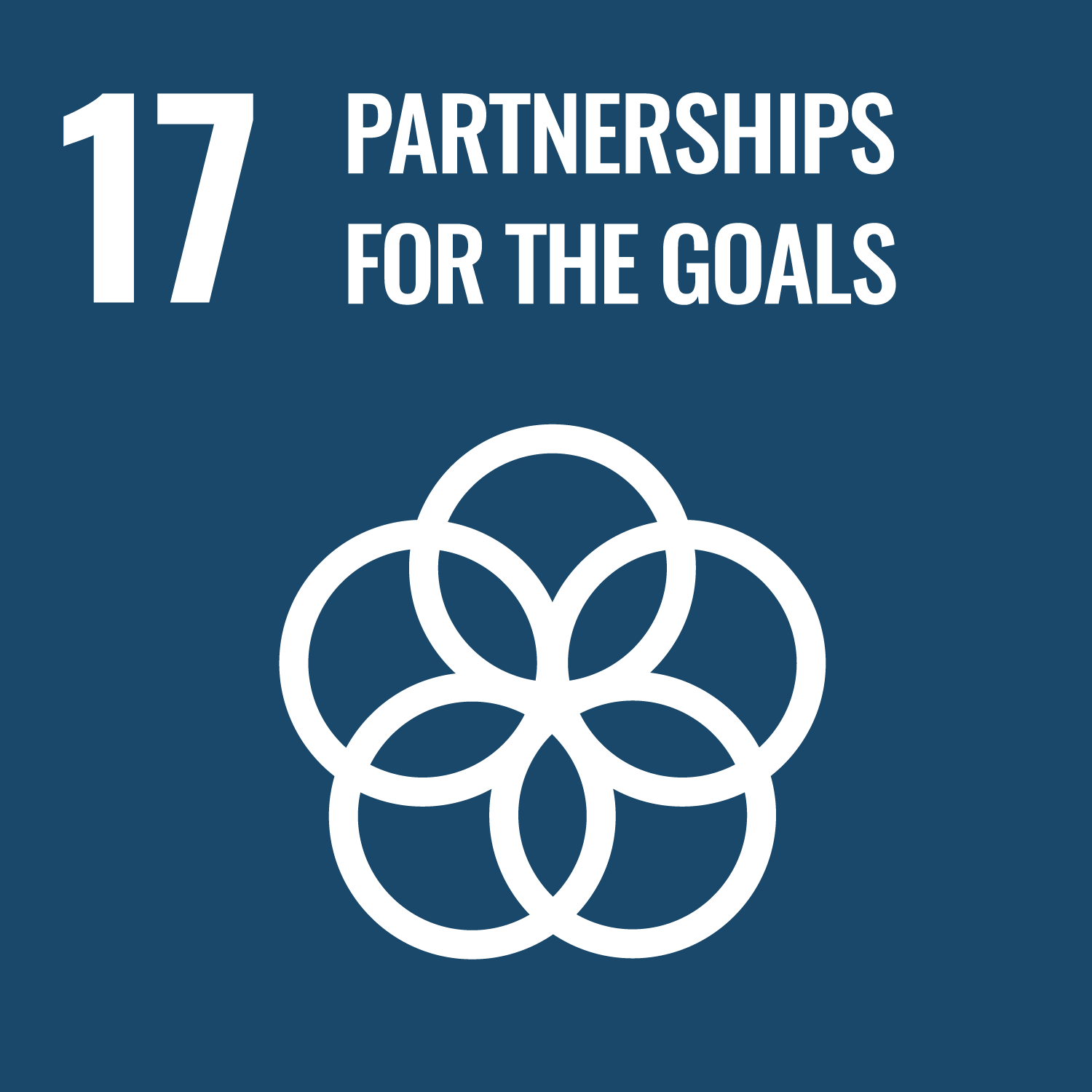 sdgs goal 12